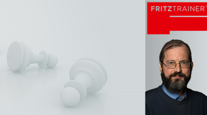 Die Endspiel-Akademie Band 2: Theoretische Turmendspiele